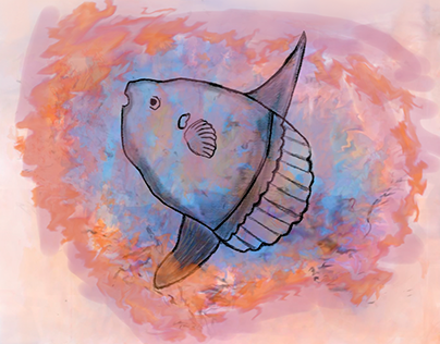 Moon fish