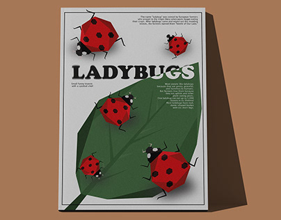 Постер "LADYBUGS"