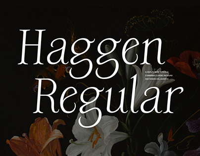 Haggen Regular - Display serif typeface