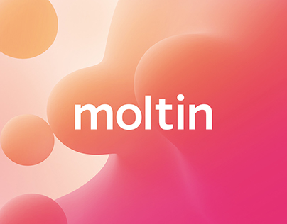 Moltin - Brand Identity and Web Design