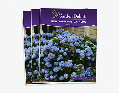 Project thumbnail - Garden Debut® New Varieties Catalog 22-23