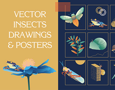 Vector Insects Drawings & Posters