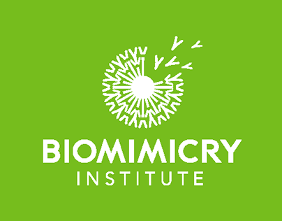 Graphic Design for Biomimicry Institute