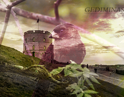 Gediminas Castle cover