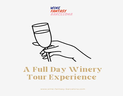 A Full Day Winery Tour Experience