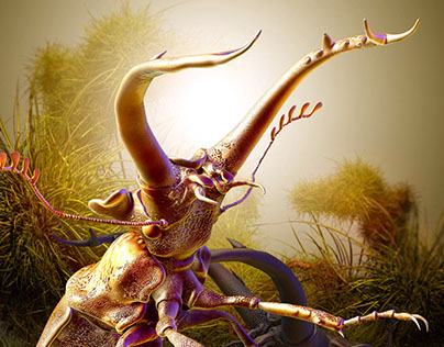 Golden Stag Beetle