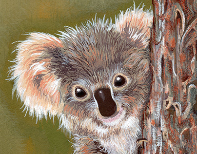Fluffy Koala!