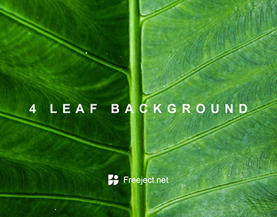 Free Download 4 Leaf Background