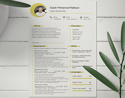 Simple Resume/CV Design