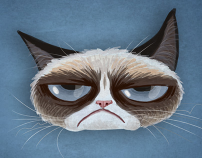 Animation - Grumpy Cat