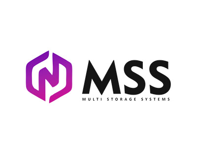 Logo Design For new startup of multi storage systems