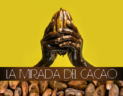 Mirada del cacao / Gazing at Cacao