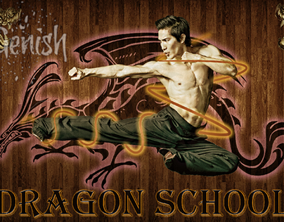 Kung Fu  Dragon School