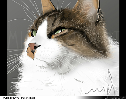 digital painting Cat