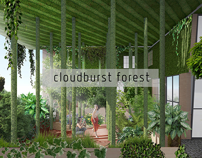 Cloudburst Forest