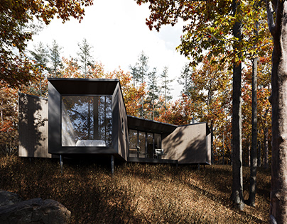 'Nest House' | Forest view