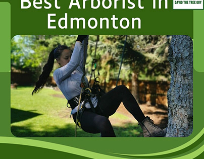 Best Arborist in Edmonton