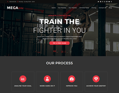 Mega Gym Website