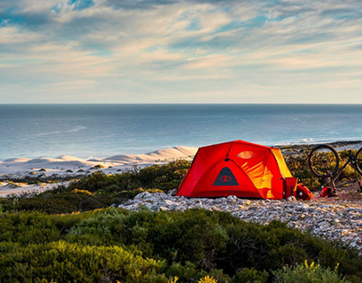 Camping Bliss Unleashed in the Bay of Plenty