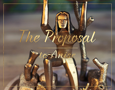 THE PROPOSAL TO ANISE