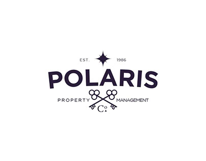 Polaris Logo Ideas and Variations