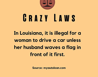 Crazy Laws | Wyatt Vinci
