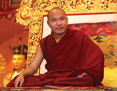 His Holiness the Karmapa Lecture Poster
