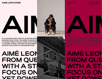 Aime Leon Dore | Redesign Concept