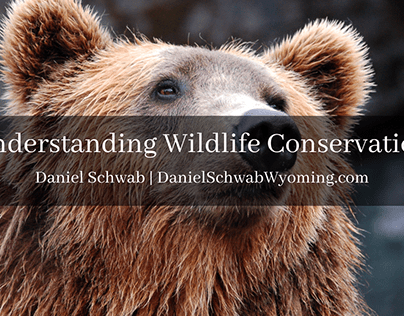 Understanding Wildlife Conservation
