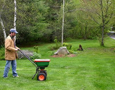 Reasons to Hire a Lawn Maintenance Company