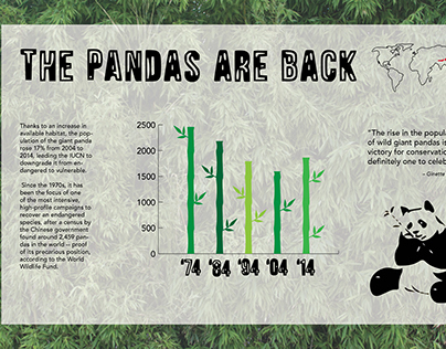 The Pandas are back