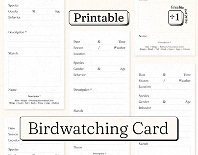 Printable Birdwatching Cards