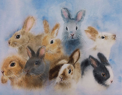 Fluffy rabbits