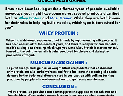 Whey Protein vs Muscle Mass Gainer