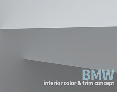 BMW Colour and Trim