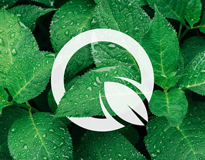 Q Letter Logo - Nature Logo - Organic Logo Design