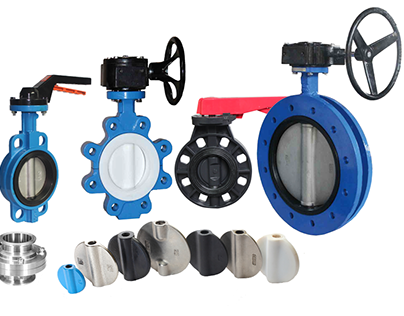 Leading Indian Supplier of Gate Valves