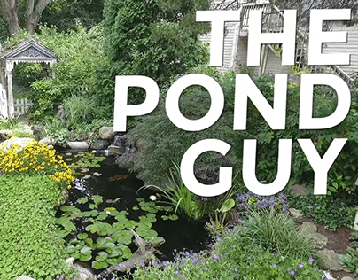 A Pond Renovation YOU Need to SEE!! Greg Wittstock
