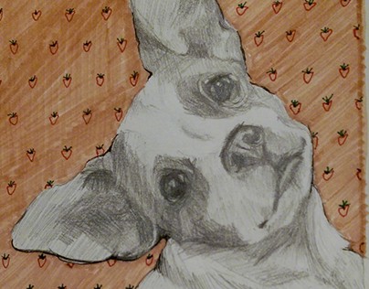 Pup portrait