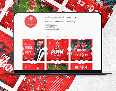 Wales Rugby Union Social Pack - Personal Project