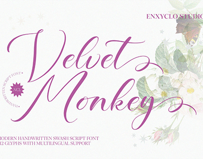 NCL Velvet Monkey