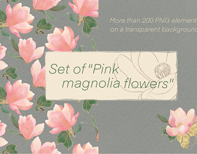 Set of  "Pink magnolia flowers".