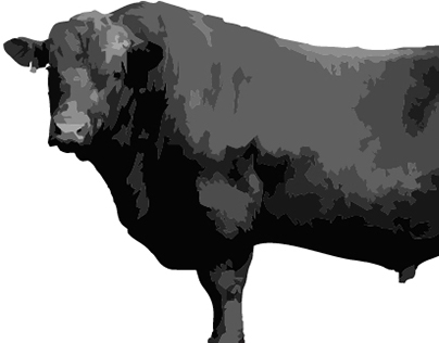 Angus Black Beef Logo