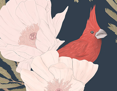 Pattern- Vermilion Cardinal