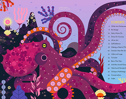 Owen Davey - Obsessive About Octopuses
