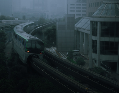 TRAIN IN THE MIST