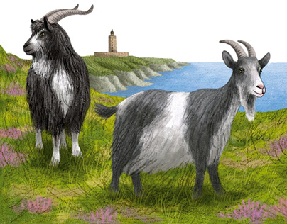 Illustration of goats on stamps 1