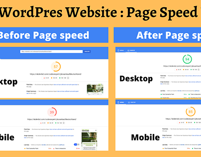 WordPress Website : Page Speed Up
