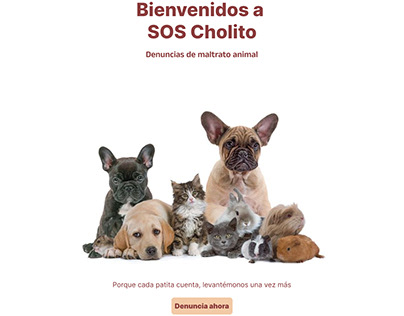 SOS Cholito Denuncias de maltrato animal