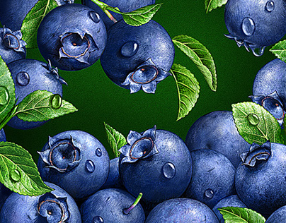 Illustrations of fruits and berries.